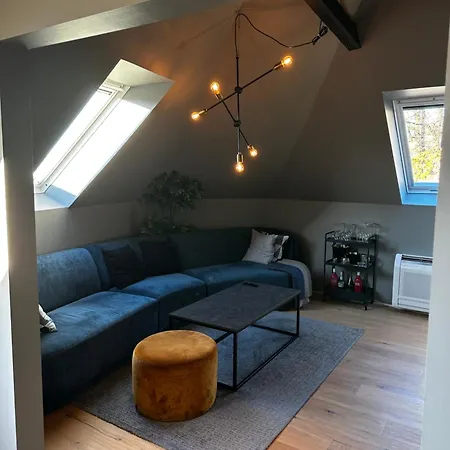 公寓 Modern Penthouse In Sandviken