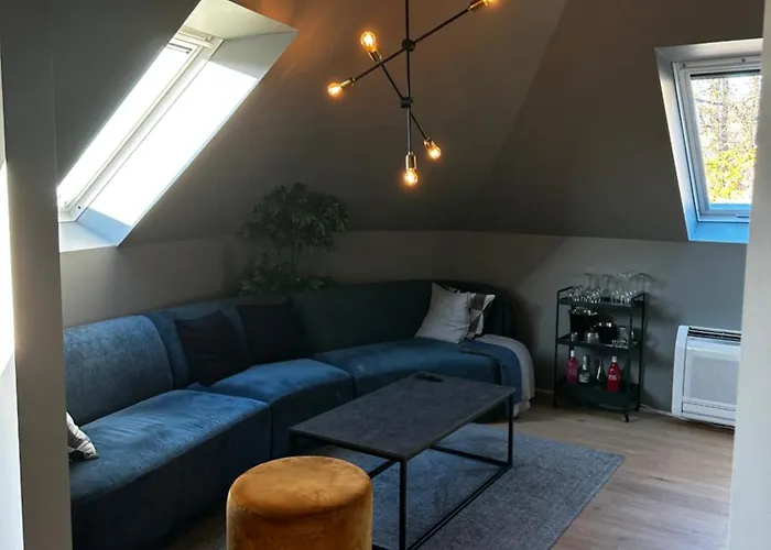 公寓 Modern Penthouse In Sandviken