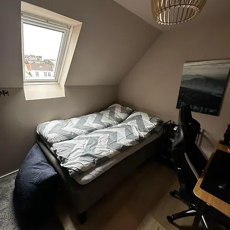 Modern Penthouse In Sandviken Daire Bergen